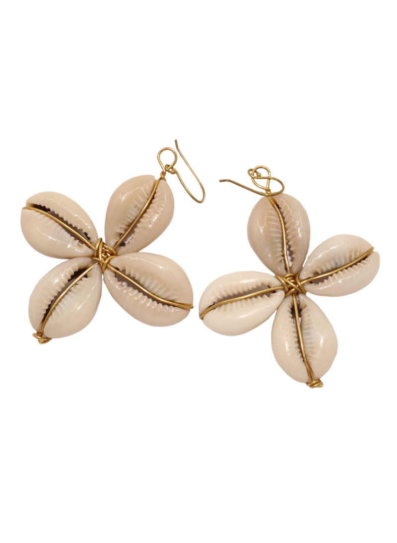 Star Cowries shell earrings